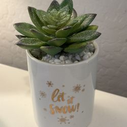 Winter Faux Succulent 