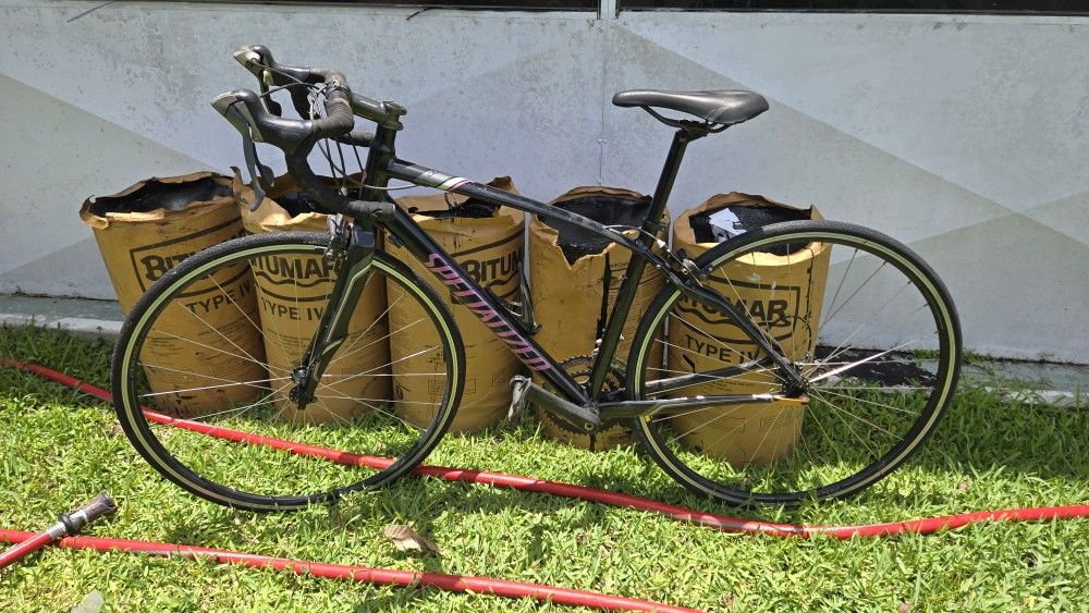 51cm SPECIALIZED Dolce WSD Aluminum Carbon Road Bike