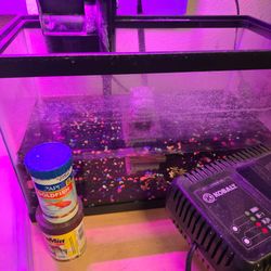 5.5 gallon fish tank