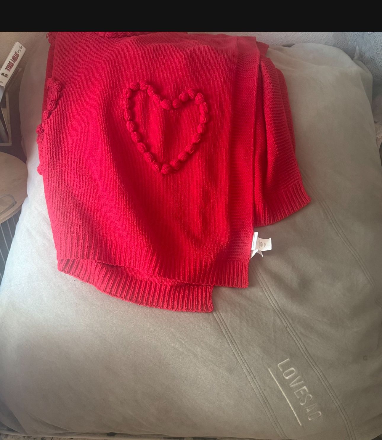 LOVESAC GIANt BEAN BAG CHAIR