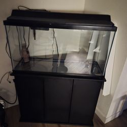 NEW FISH TANK  WITH  STAND