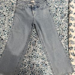 Pacsun Baggy Jeans Size 27