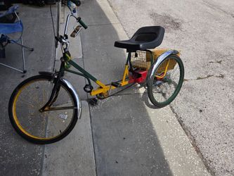 Adult Tricycle with Rear Basket