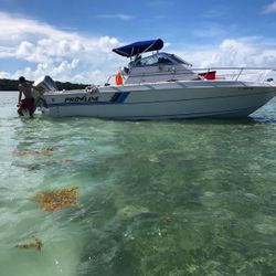 Boat For Sale