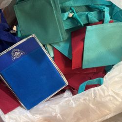 Disney Pin Trading Pin Holder