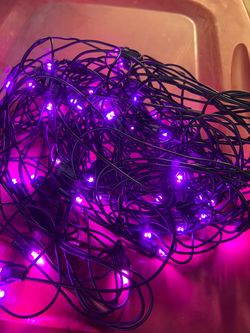 3 Sets Of Halloween LED Purple Bush Lights
