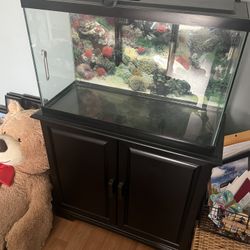 20 Gallon Fish Tank With Filter / Aquarium