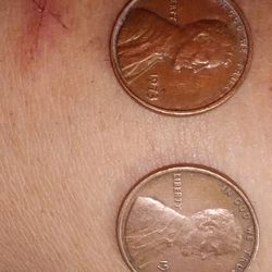1973 And 1976 No Mint Lincoln Penny With Errors On Them 
