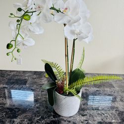 Artificial white orchid potted plant