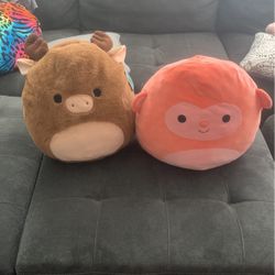 Squishmallows 