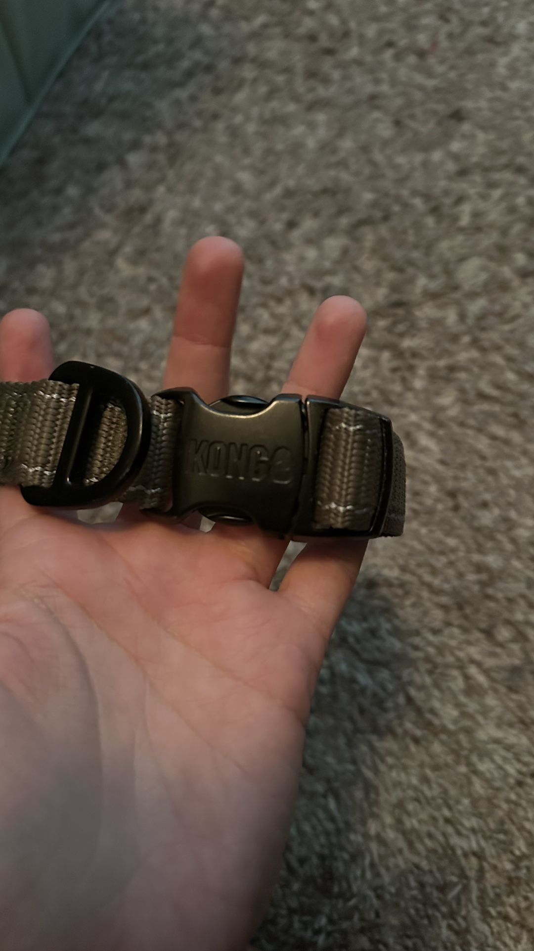 Kong Collar 