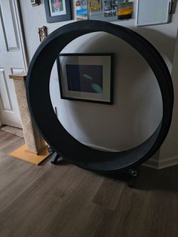 Cat exercise wheel