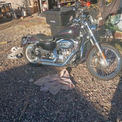 2019 Harley Sportster XL1200C   