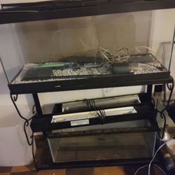 2 Large Fish Tanks 