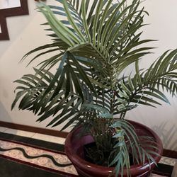 2 Large Fake Plants - Decor