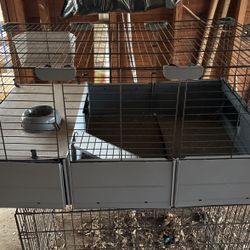 Guinea Pig Or Hamster Cage