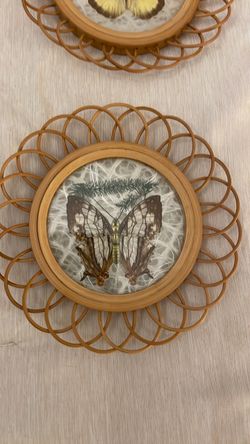 Set of 6 pressed butterfly bamboo coasters