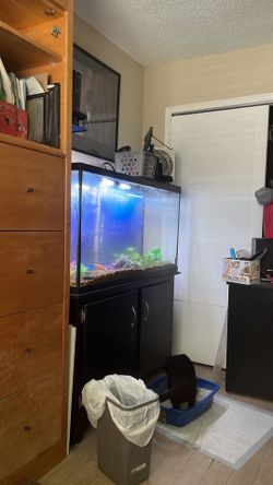 60Gallon Tank&Cabinet