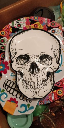 New Skull Plate