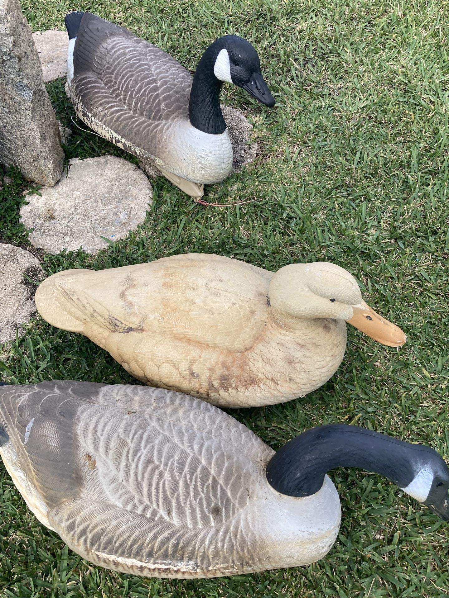 Floating Goose Storm Front decoys