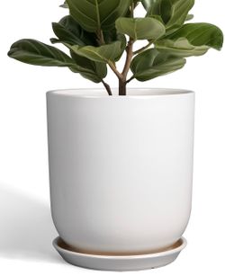 10in. Plant Pot