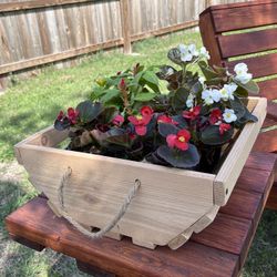 Flower/fruit Basket 