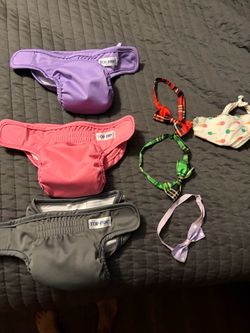 Dog diapers