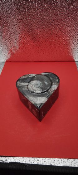 Heart Ammonit Orthoceras Container With A Lid 