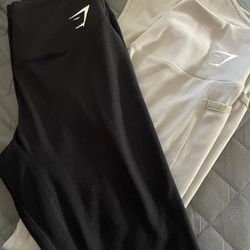 Gym Shark
