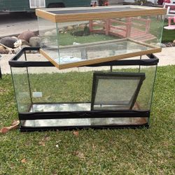 Reptile Tanks 