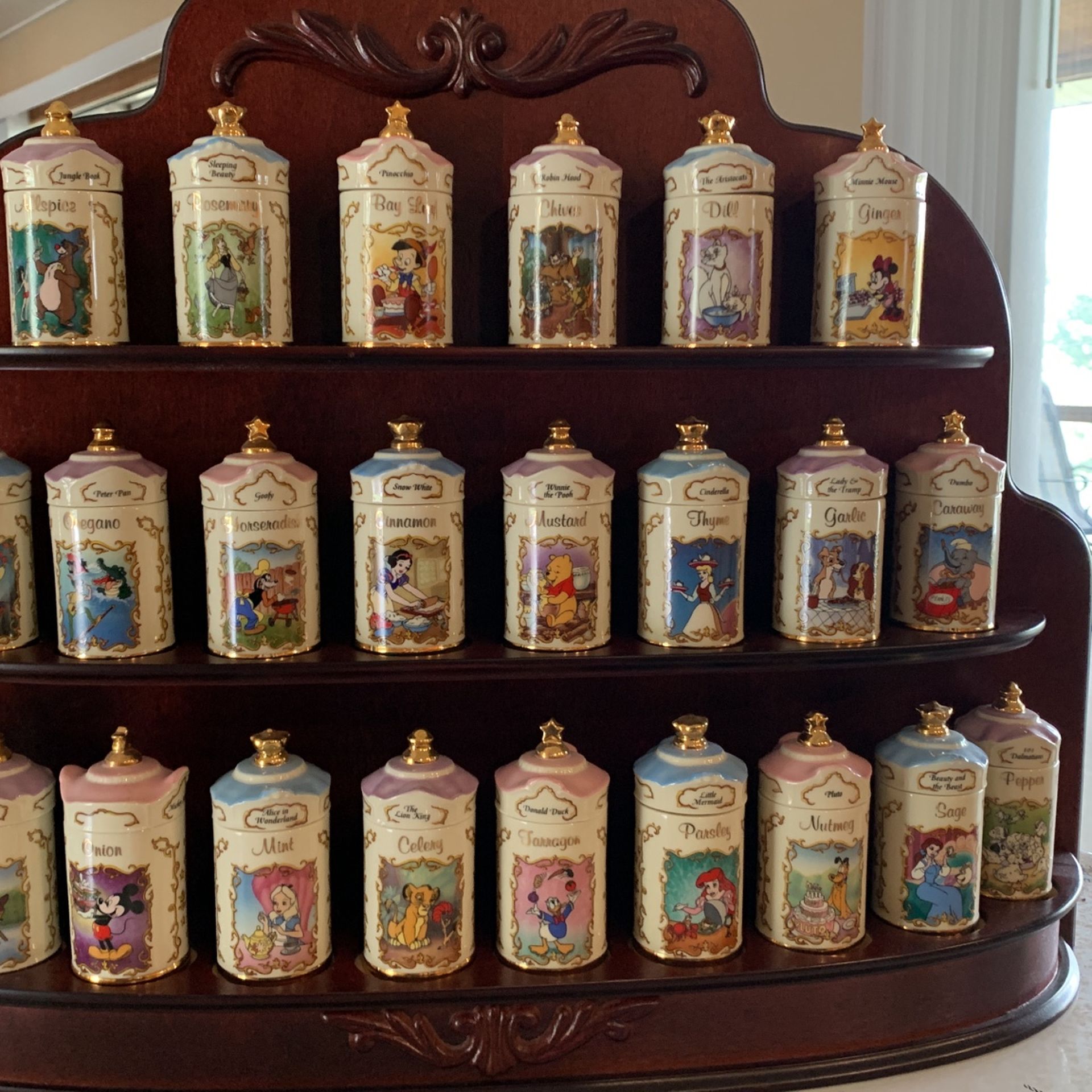Disney Herbs & Spice Rack
