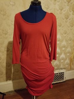 Express Pinched Dress