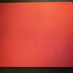 Foam Tiles (2ft x 2ft x 1.5 in )