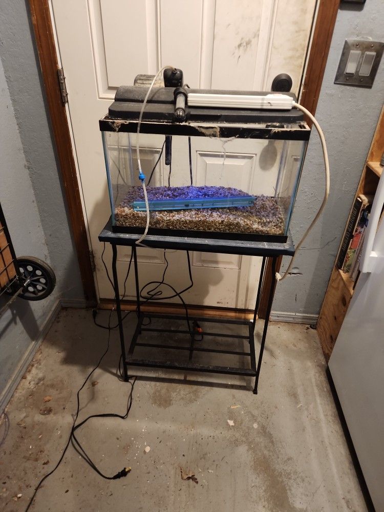 10 Gallon Fish Tank And Stand