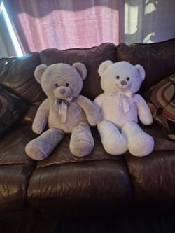 Two over sized teddy bears