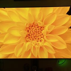 Samsung 65 Inch 4k Smart Tv 