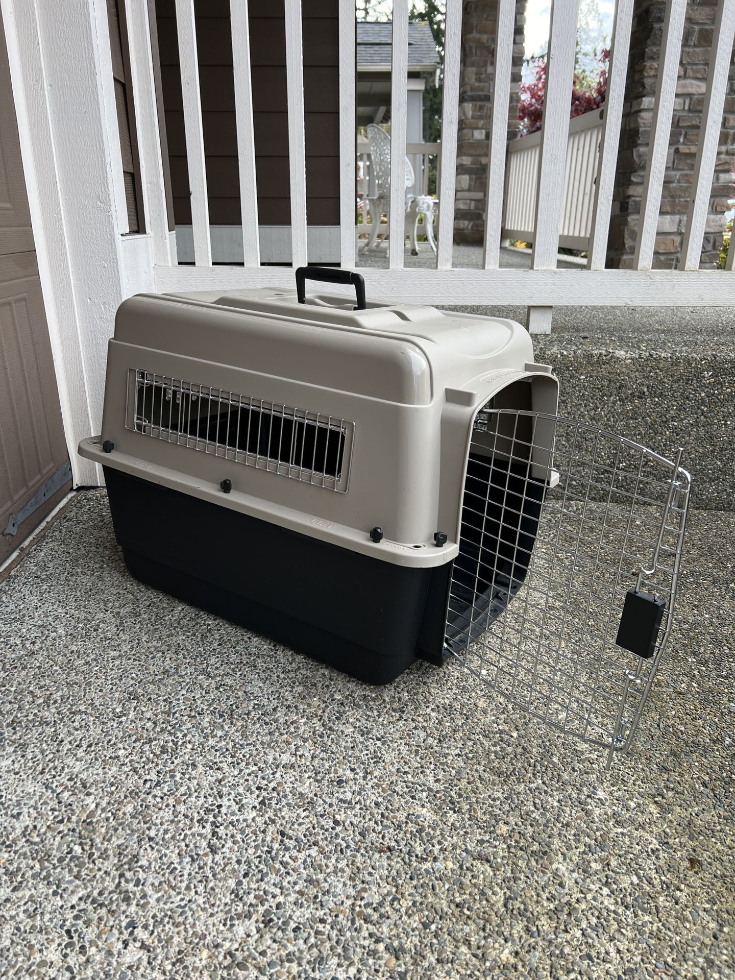 Small Dog travel carrier