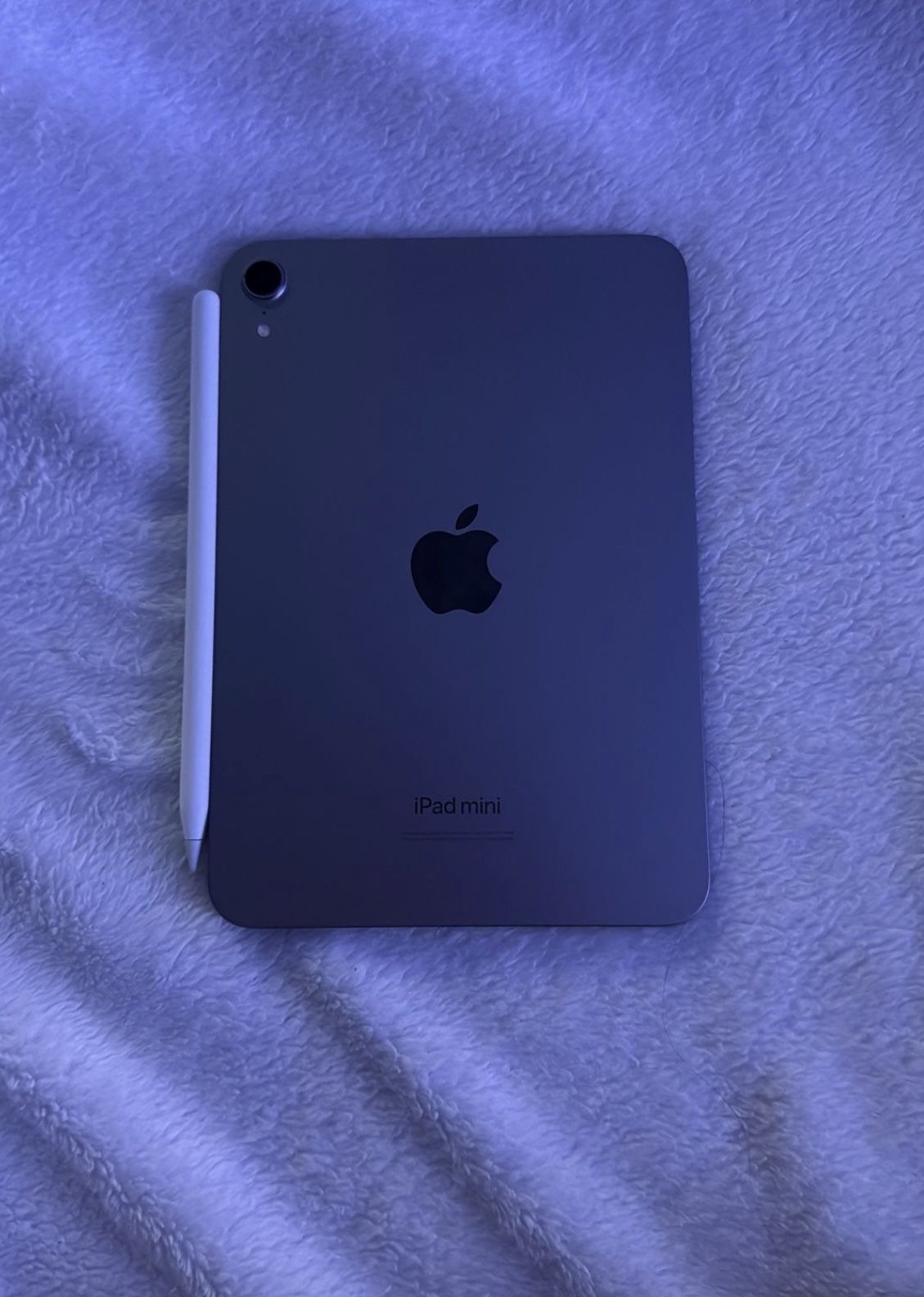 iPad Mini 2024 w/ Apple Pencil Pro
