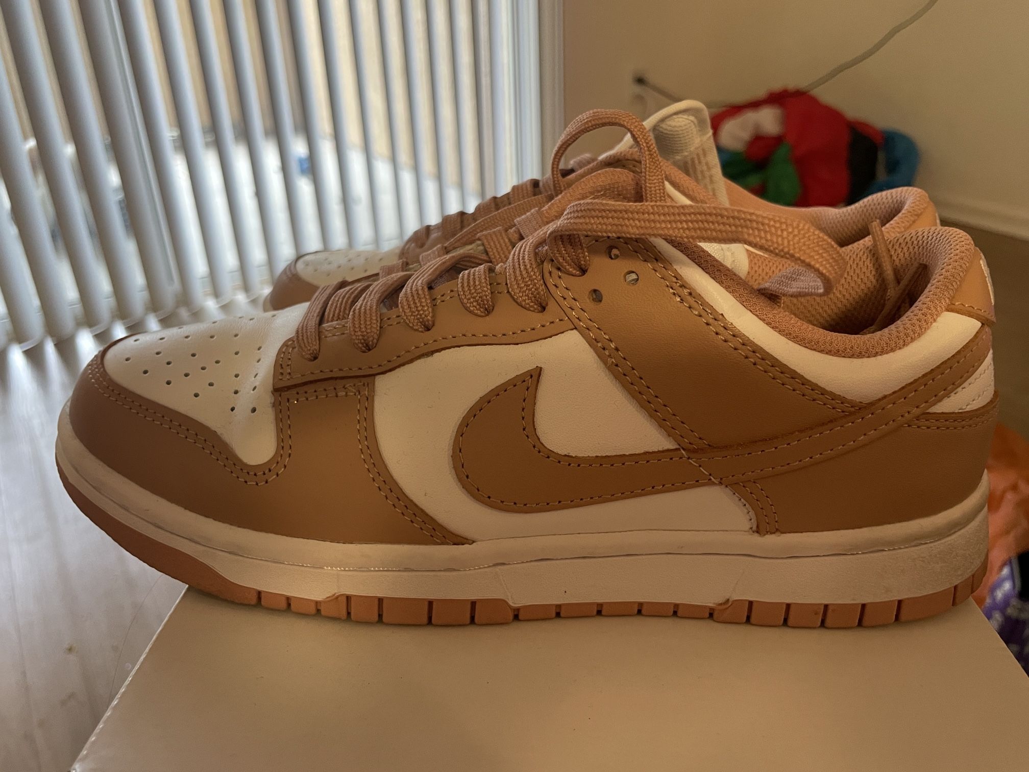 Nike Dunk Low Women's Shoes 8
