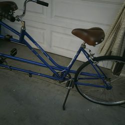 Schwinn Twinn Bike