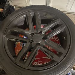 Rims 