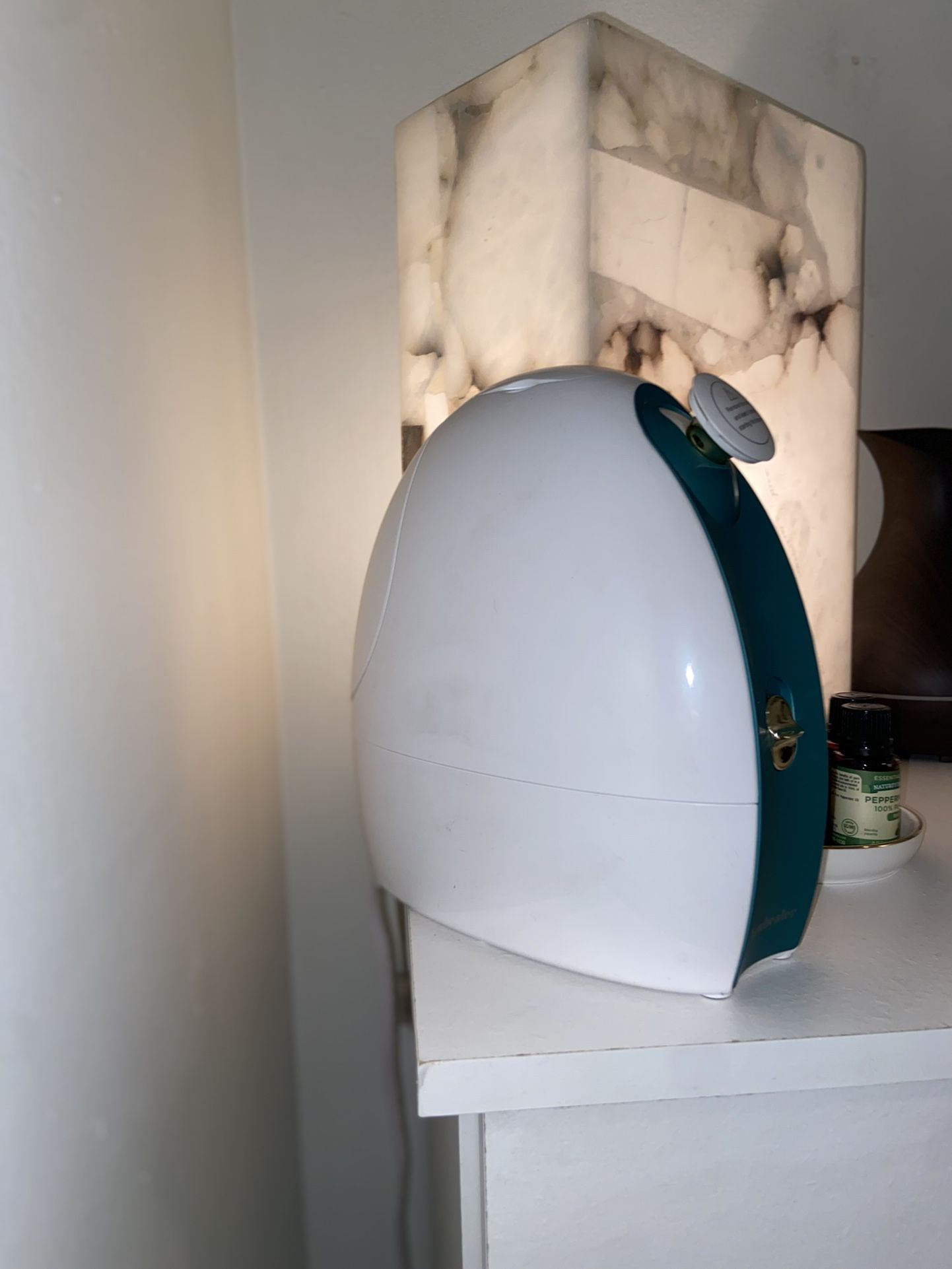 Hot + Cold Aromatherapy Facial Steamer