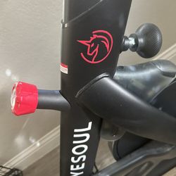 Yesoul Exercise BIKE.  G1M Plus. Model YS-001