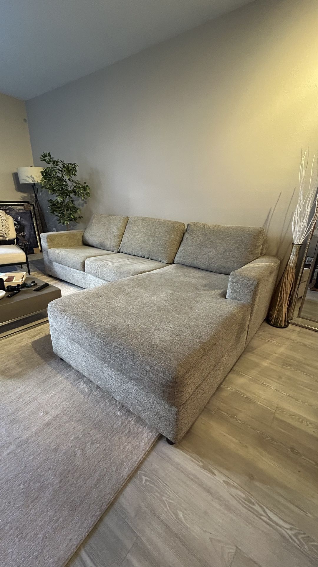 Grey Sectional couch