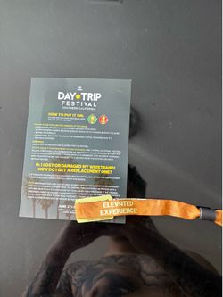 Day trip VIP