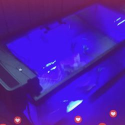 55 Gallon Wide Aquarium Tank 