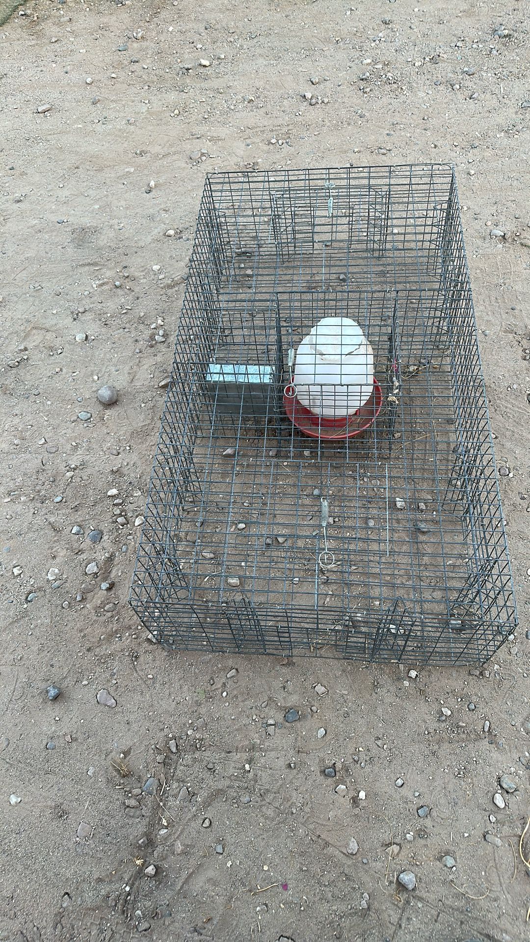 Small Pet cage measuring 45 inches long by 24 inches wide and 10 inches high