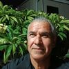 Carlos Montoya