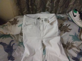 Vivid Women's Pants