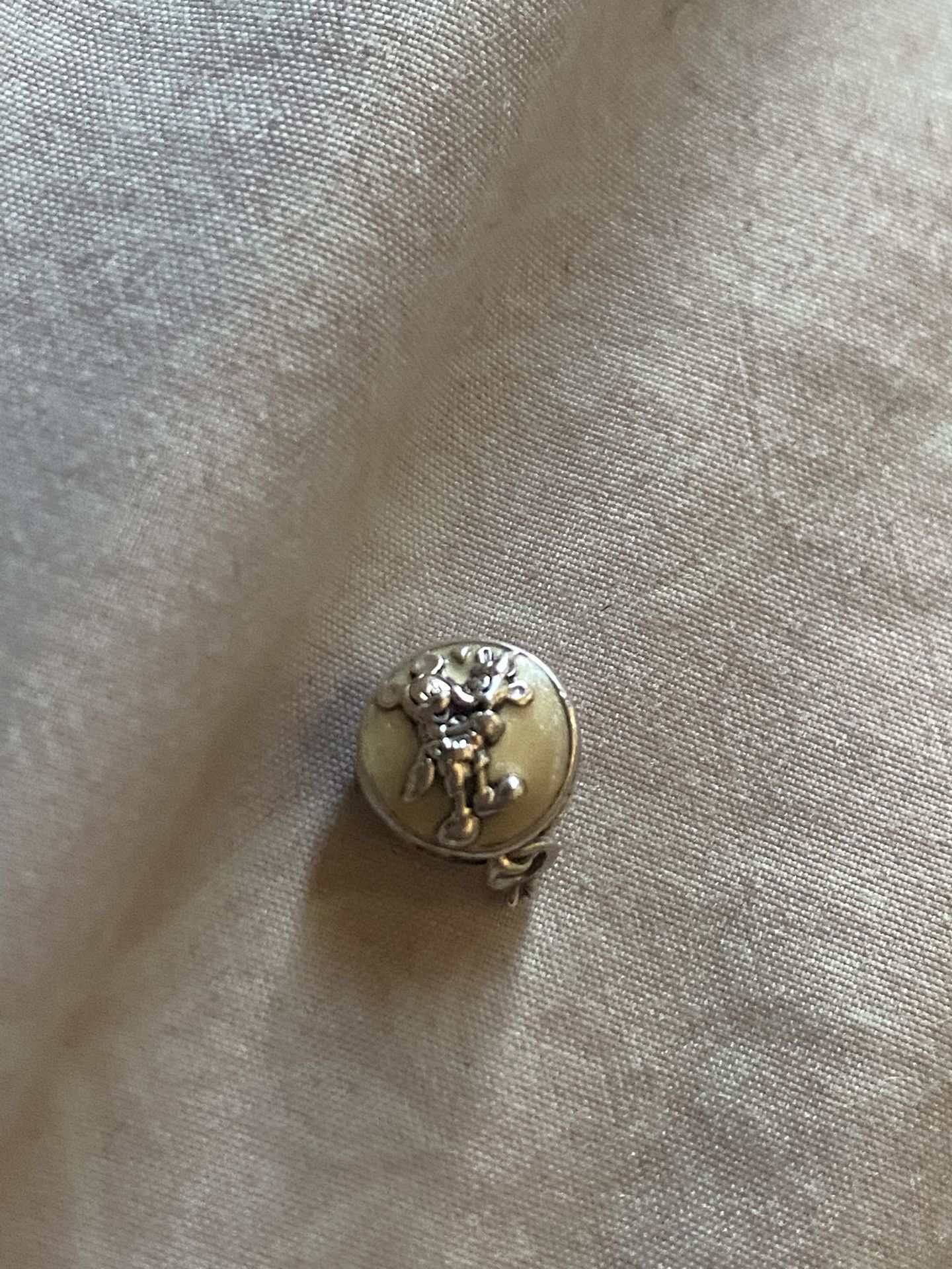 Pandora Charms